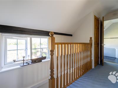 Picture 19